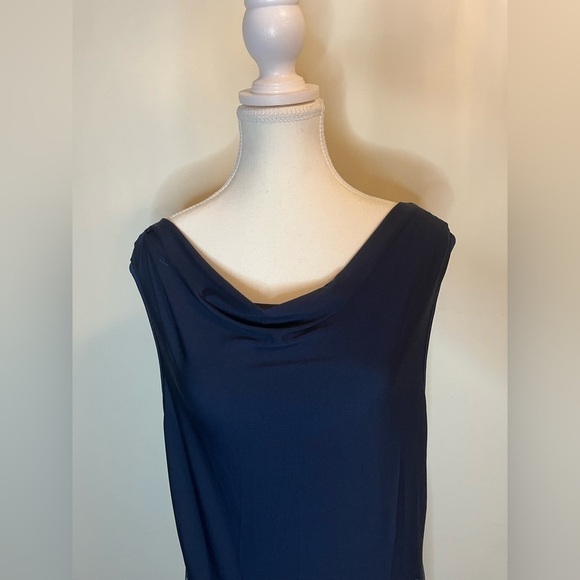 ⭐️ Penman’s dress- size large - Picture 4 of 7